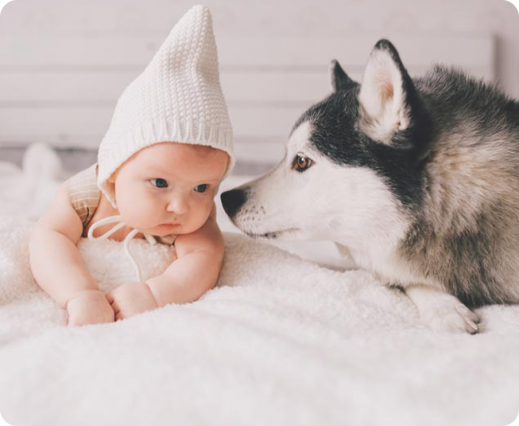 Dzieci i zwierzęta — dlaczego warto postawić na taką przyjaźń?